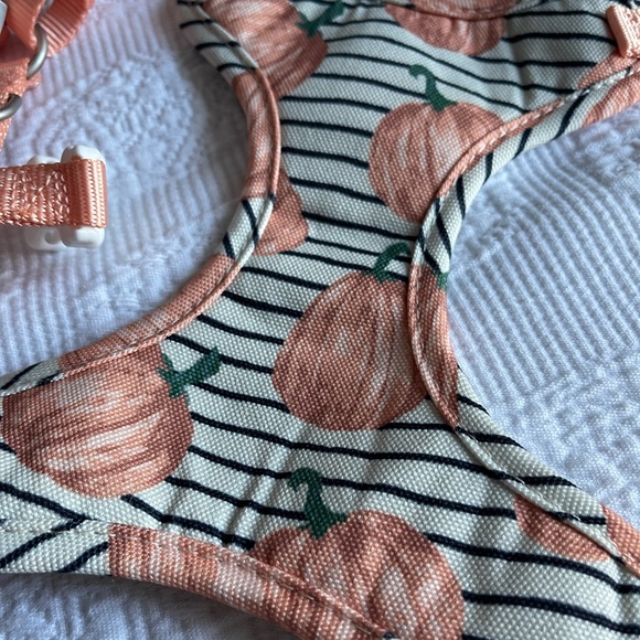 Sydney & Co Pumpkin Fall Dog Harness - Picture 2 of 7